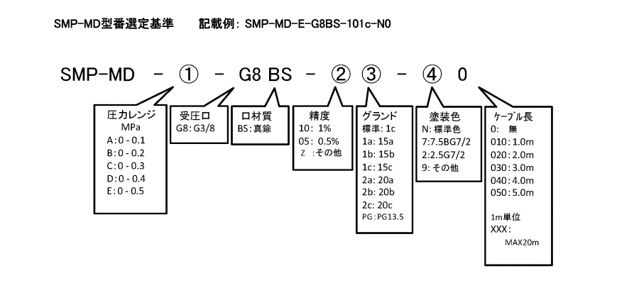 SMP-MD TYPE format