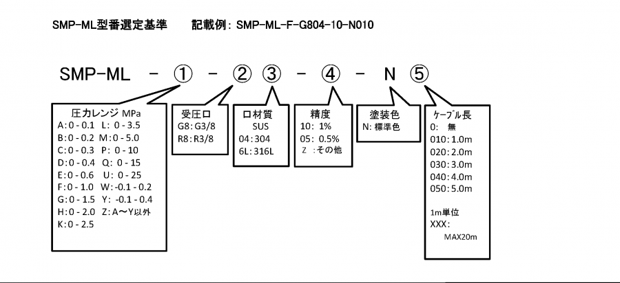 SMP-ML format