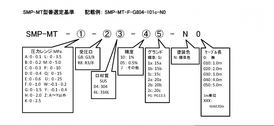 SMP-MT format