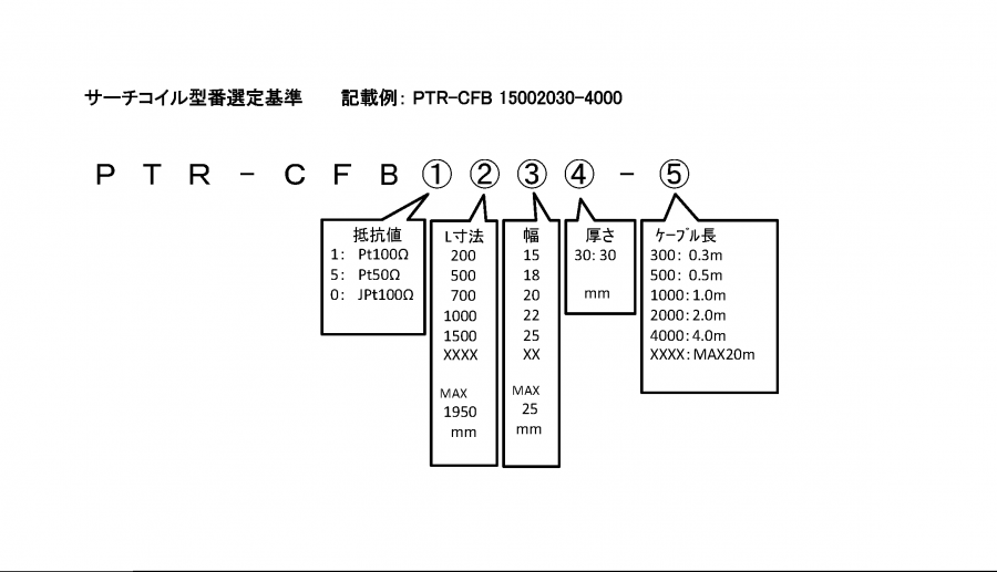 PTR-CFB 形式