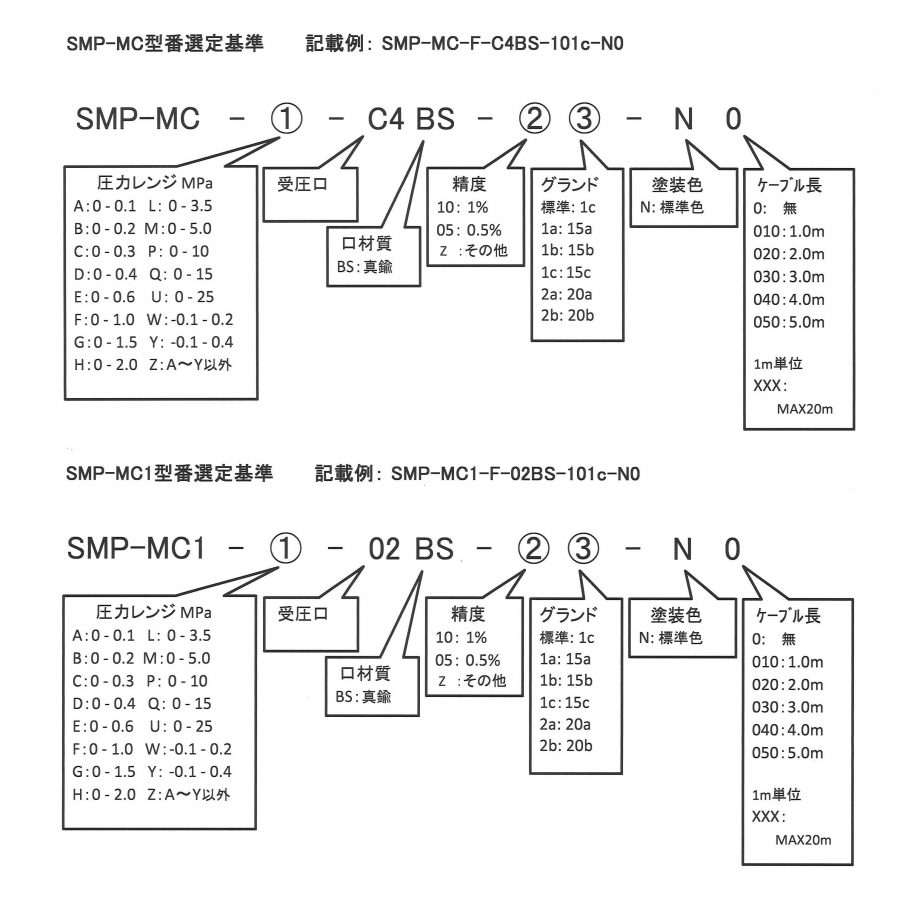 SMP-MC 形式