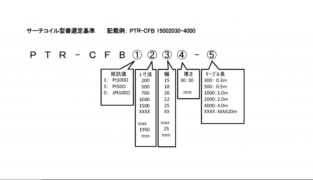 PTR-CFB 格式